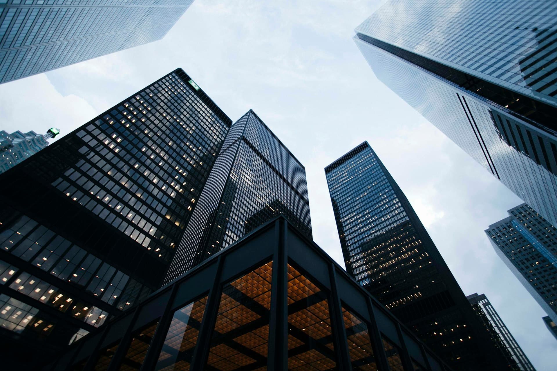 Professional investment process